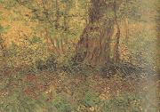 Vincent Van Gogh Undergrowth (nn04) oil on canvas